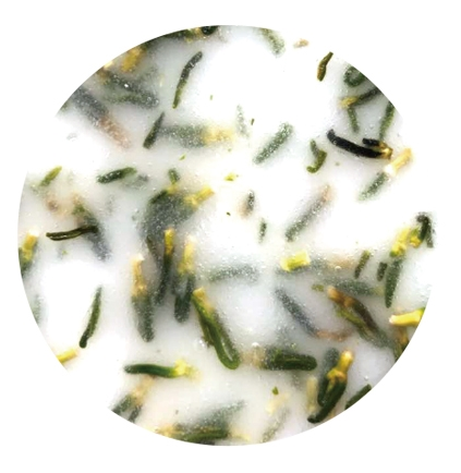 Esthemax® Hydrojelly® Skin Warrior Ageless